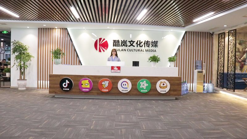 成都影视制作公司：揭秘背后的行业奥秘