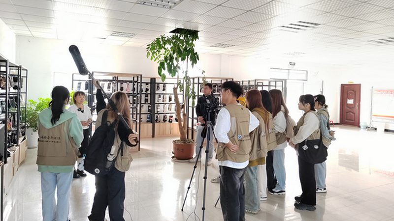 三维动画MG动画：优缺点一览，助你精准选择