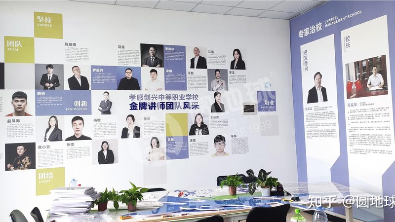 品牌策划案例精选：揭秘成功背后的策略与执行